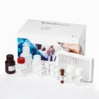 Collectin-10, Human, ELISA – 1 x 96 det. - HK364-01