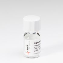 C1q, Human, Natural - HC2143-1mG