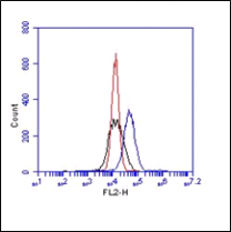 Alpha-V/Beta-3 Integrin, Human, mAb BV3 – 20 µg - HM2034-20UG