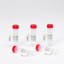 Antibody Sampler Pack