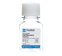 VitroGel Cell Recovery Solution (100 mL)
